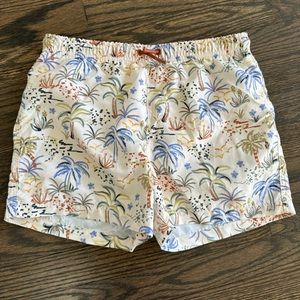 Zara Swim Shorts